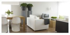 Decoracion