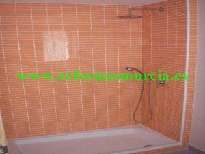 Cambiar la bañera por ducha